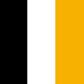 Black / White / Gold